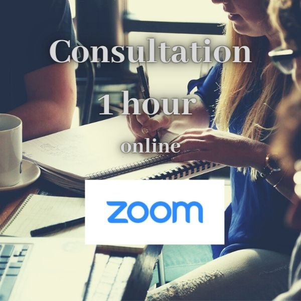 1 hour online consultation Switzerland